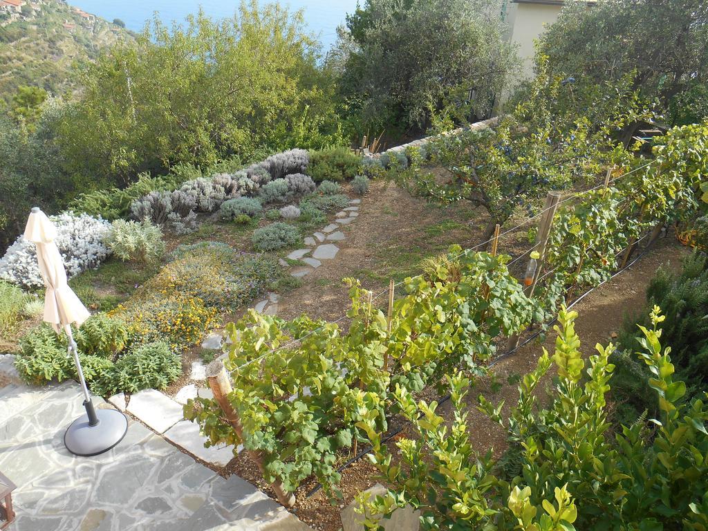 Il Nettare Hotel Riomaggiore Exterior photo